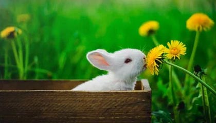 云开体育官网入口-队内冲突再度爆发，球队团结力量受到考验，球队问题