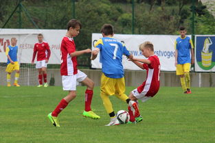 开运体育入口-塔斯马尼亚联焦点战役引爆球迷期待