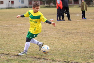 开云体育官网入口-帕尔梅拉斯主场气氛火爆，球迷助威成强大后盾